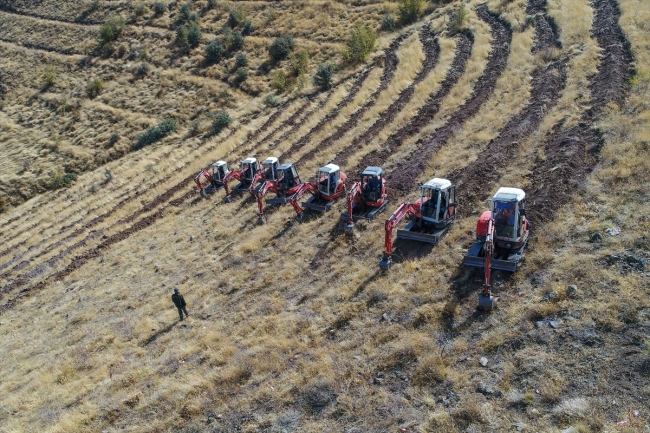 Van Gölü'nün mavisi yeşille buluşuyor